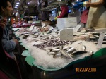 Lots of fish in the Barcelona market